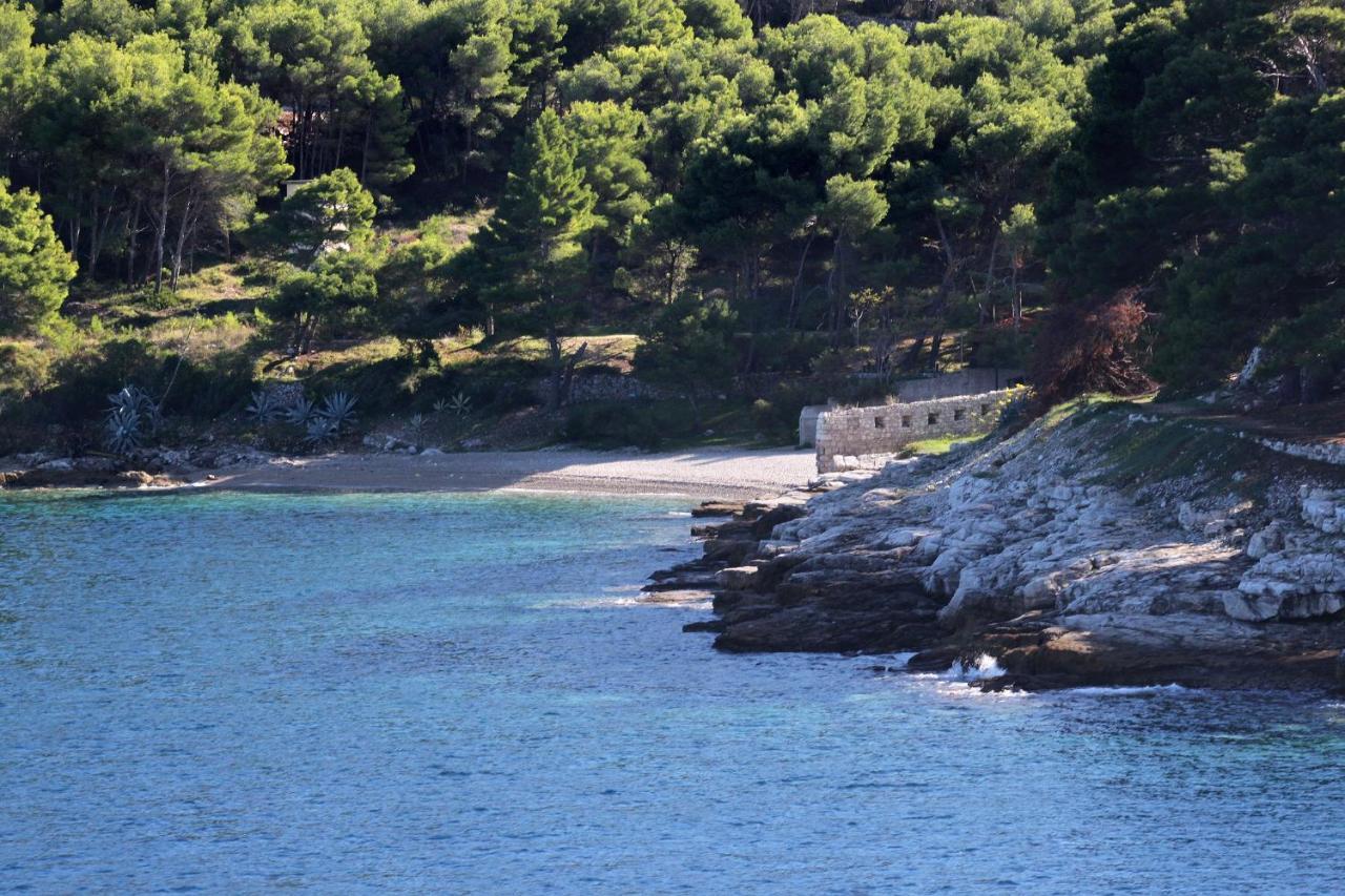 Apartments By The Sea Vis - 8526 Kültér fotó